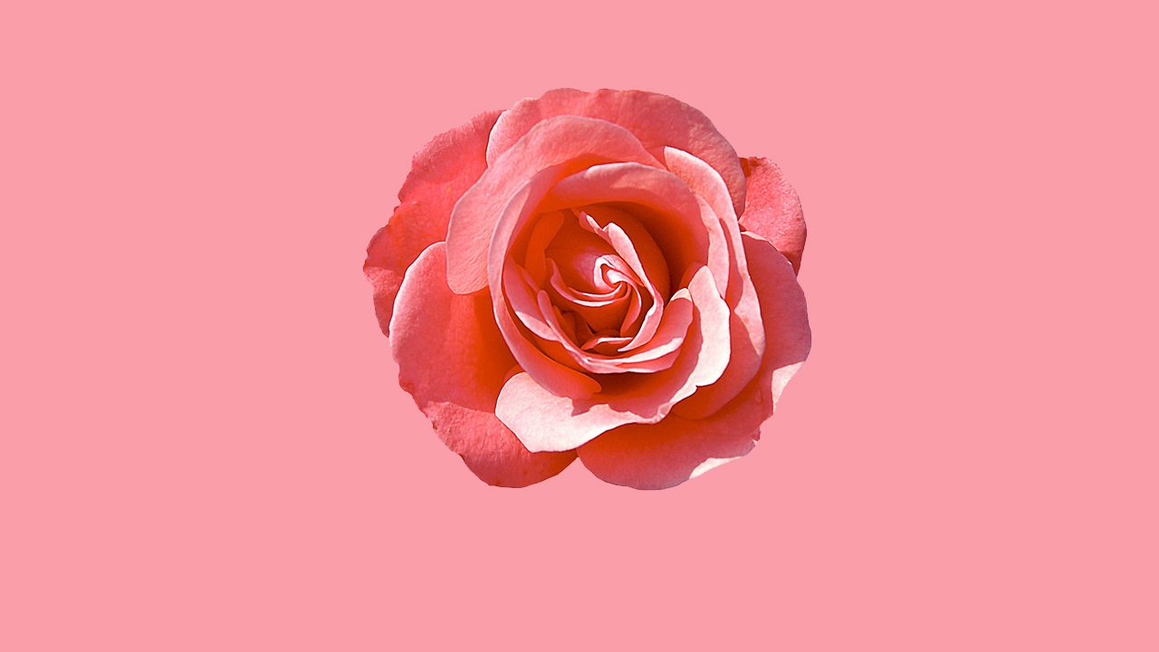website_Valentine-1280x720.jpg