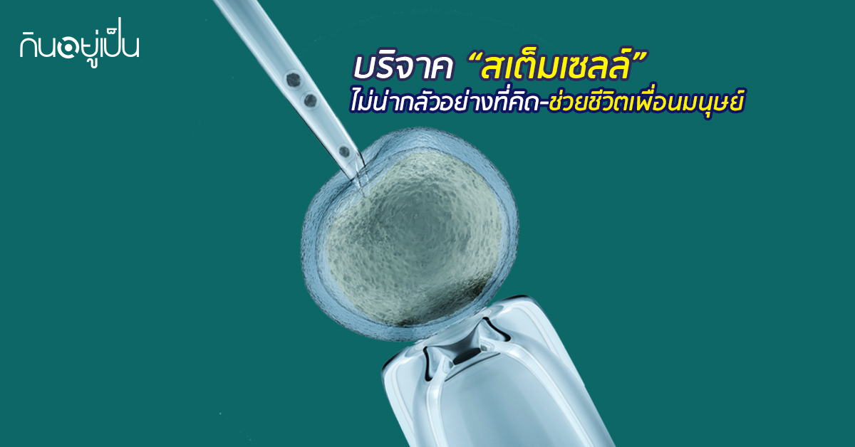 Banner_welltitude_บริจาคสเต็มเซลล์ไม่น่ากลัวอย่างที่คิด-ช่วยชีวิตเพื่อนมนุษย์.jpg