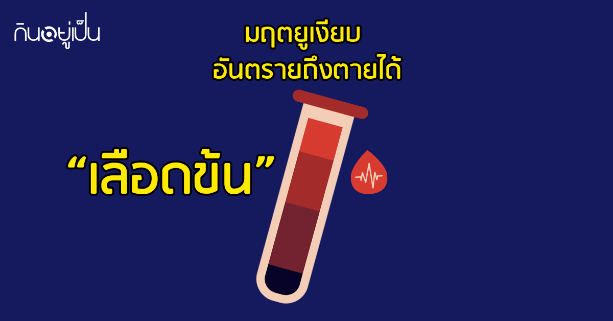 Banner_welltitude_เลือดข้น-มฤตยูเงียบ-อันตรายถึงตายได้.jpg