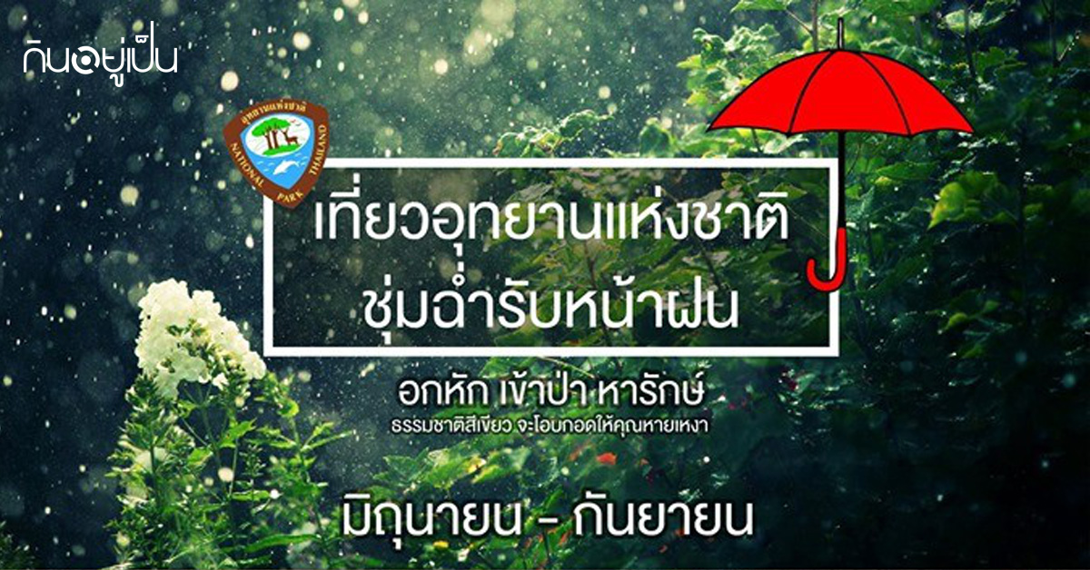 _ฝนตกแบบนี้-ชวนเที่ยวอุทยานแห่งชาติ-ชุ่มฉ่ำรับหน้าฝน_web.jpg