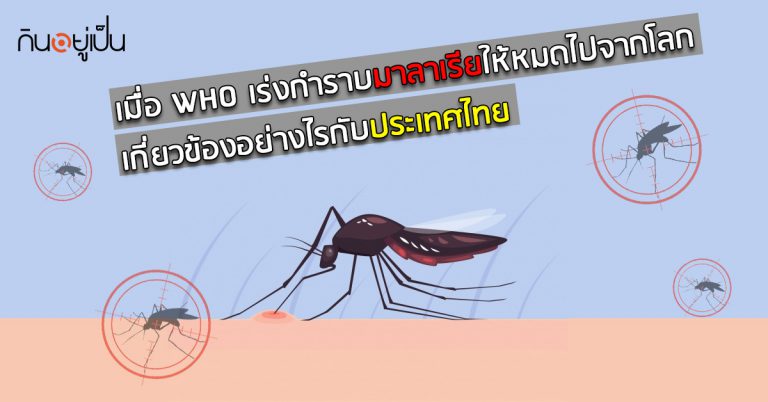 เมื่อ WHO เร่งกำราบมาลาเรียให้หมดไปจากโลก เกี่ยวข้องอย่างไรกับประเทศไทย
