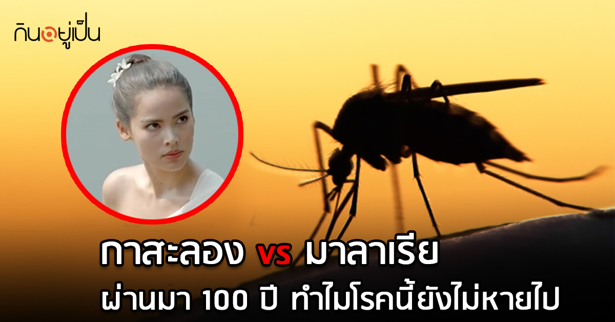_กาสะลอง-vs-มาลาเรีย-ผ่านมาร้อยปี-ทำไมโรคนี้ยังไม่หายไป_web.jpg
