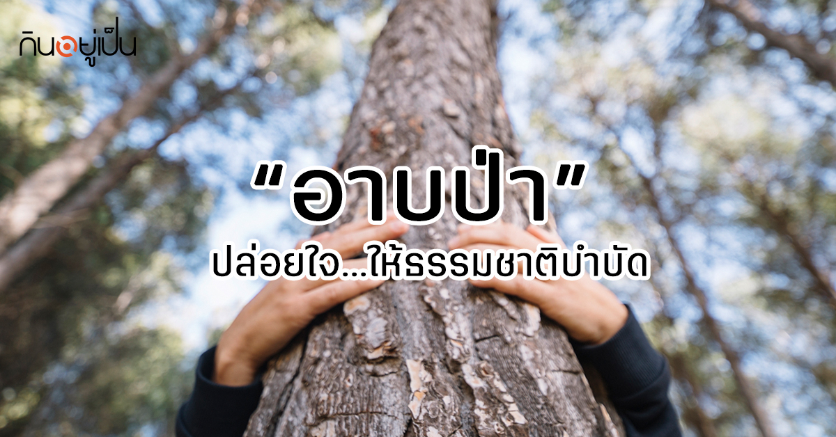 _Content_อาบป่า-1.jpg