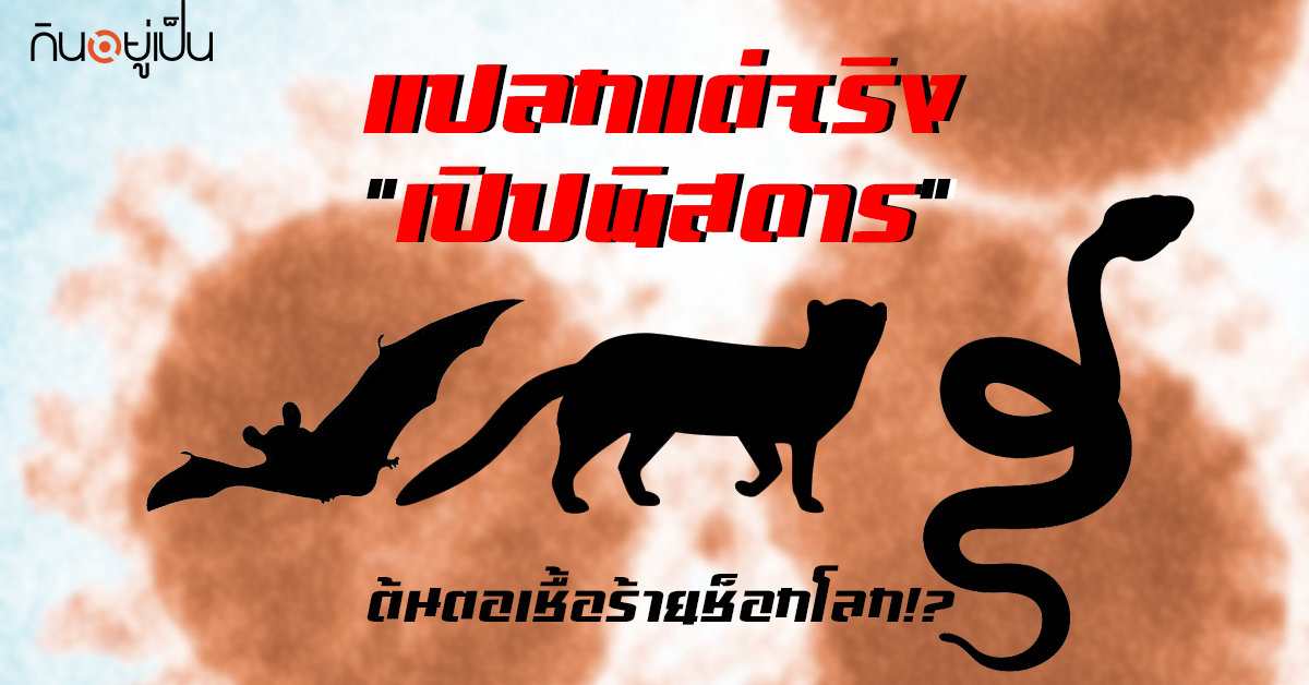 Content_พระนางพญา_Cover_1-1.jpg