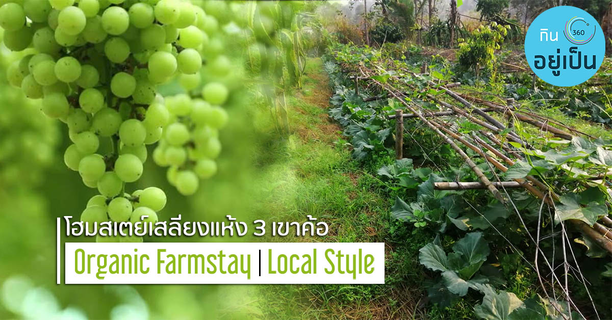 _ฟาร์มออแกนิก_homestay_Cover_1.jpg