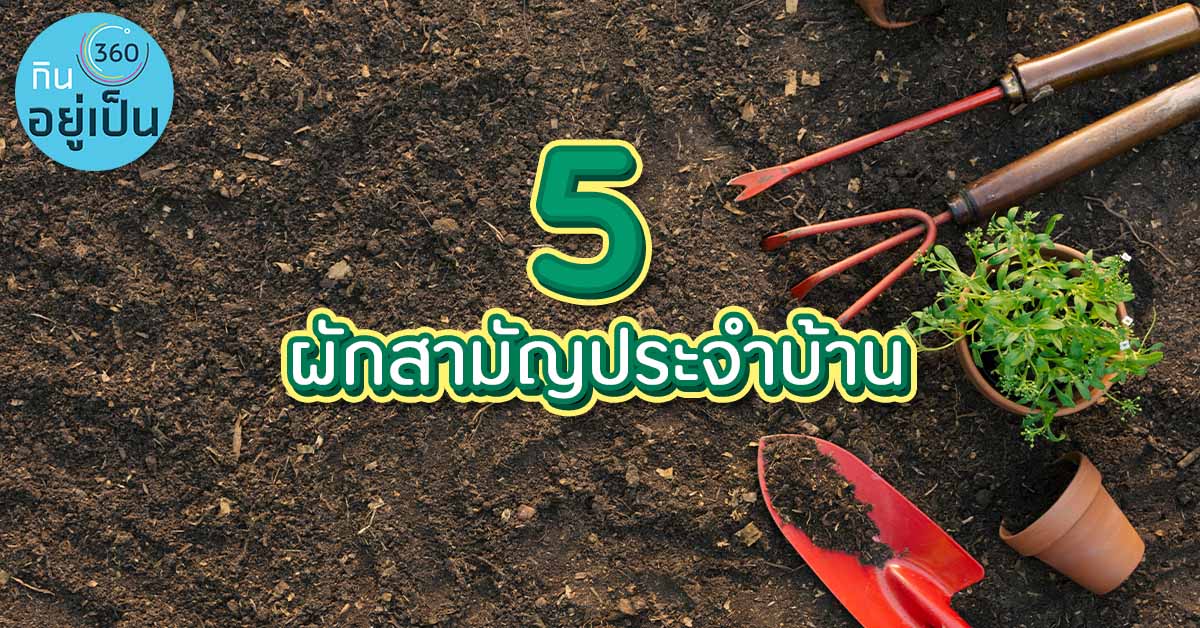 5-ผักสามัญประจำบ้าน_Cover_1.jpg