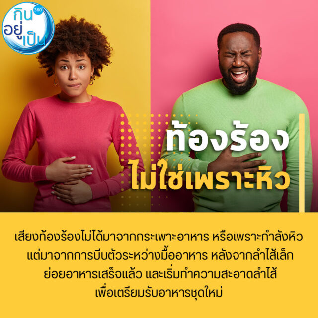 6 เรื่องน่ารู้รอบตัว_ท้องร้องไม่ไช่เพราะหิว_FB_1