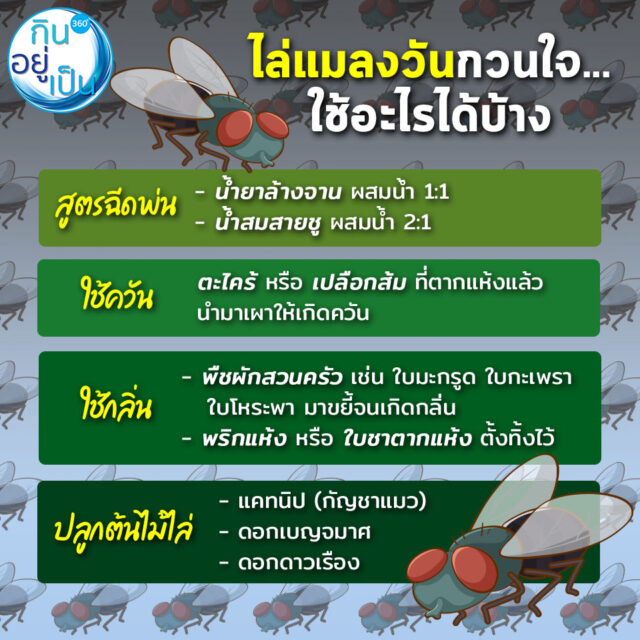 5 เกร็ดความรู้รอบตัว - Kinyupen