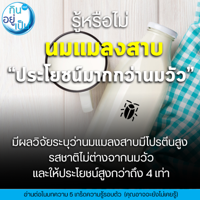 5 เกร็ดความรู้รอบตัว (ที่คุณอาจไม่เคยรู้) - Kinyupen