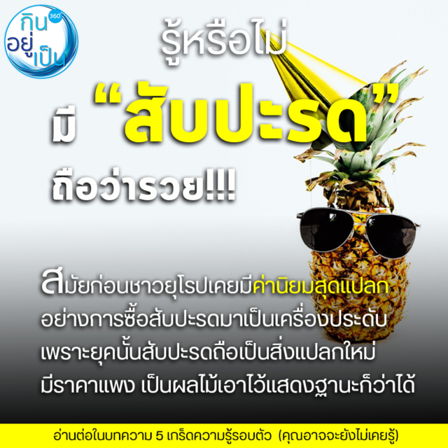 5 เกร็ดความรู้รอบตัว (ที่คุณอาจไม่เคยรู้) - Kinyupen