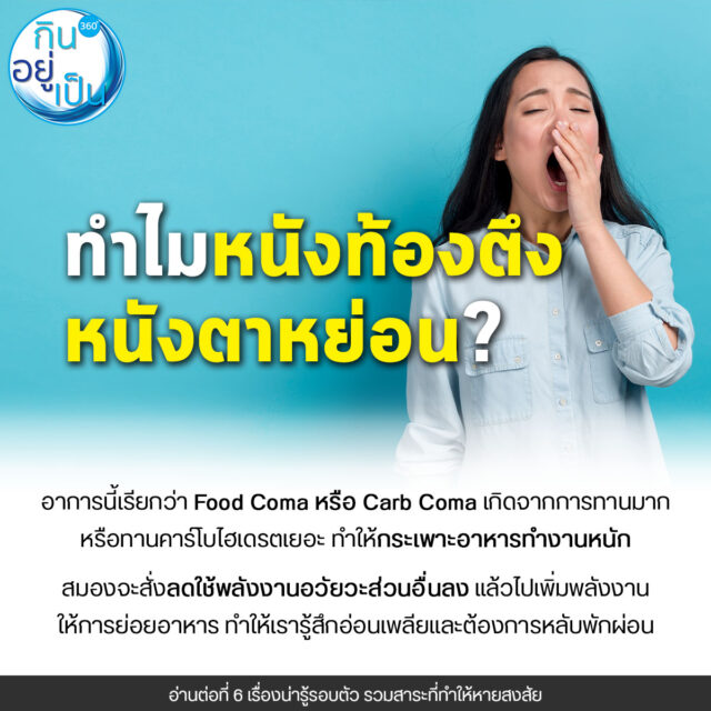 6 เรื่องน่ารู้รอบตัว รวมสาระที่ทำให้หายสงสัย - Kinyupen