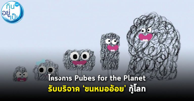 บริจาค “ขนหมออ้อย” ช่วยโลก กับ โครงการ Pubes for the Planet