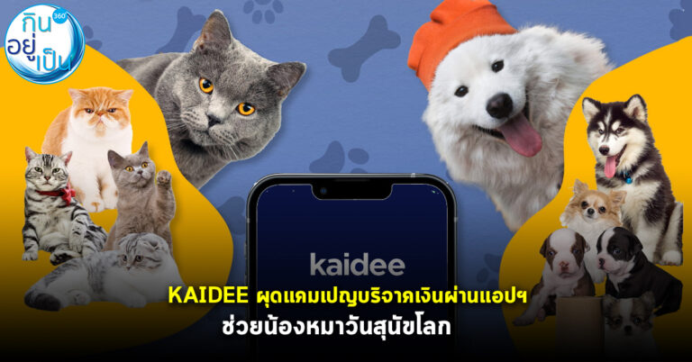 KAIDEE ผุดแคมเปญบริจาคเงินผ่านแอปฯ ช่วยน้องหมาวันสุนัขโลก