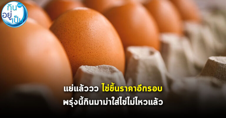 พรุ่งนี้ไข่ขึ้นราคาอีกรอบ สถิติใหม่ 3.60 บาท/ฟอง ขึ้นแผงละ 3 บาท
