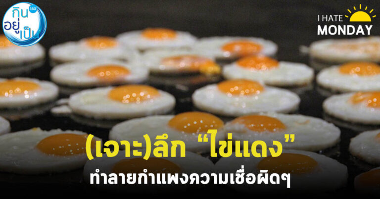 (เจาะ)ลึก “ไข่แดง” ทำลายกำแพงความเชื่อผิดๆ
