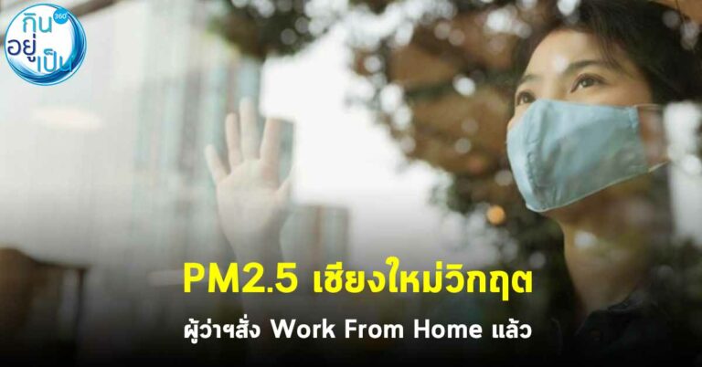 PM2.5  เชียงใหม่วิกฤต ผู้ว่าฯสั่ง Work From Home แล้ว