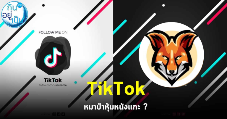 Tiktok – หมาป่าหุ้มหนังแกะ ?