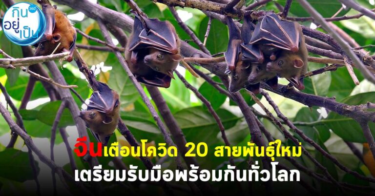 จีนเตือนโควิด 20  สายพันธุ์ใหม่ เตรียมรับมือพร้อมกันทั่วโลก