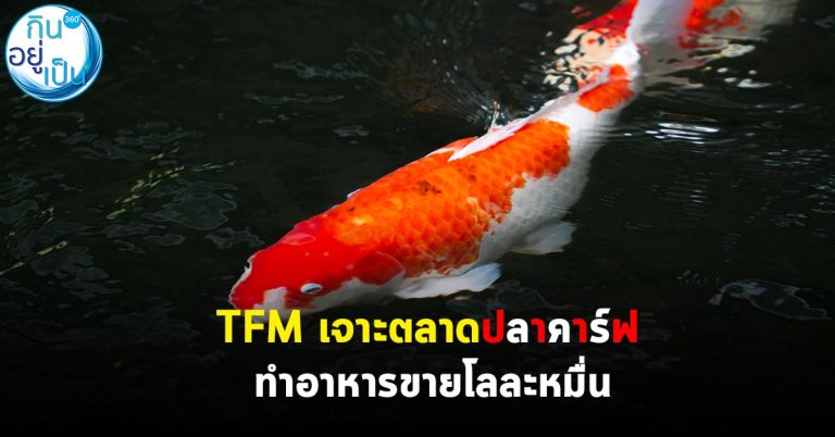 TFM เจาะตลาดปลาคาร์ฟ ทำอาหารขายโลละหมื่น