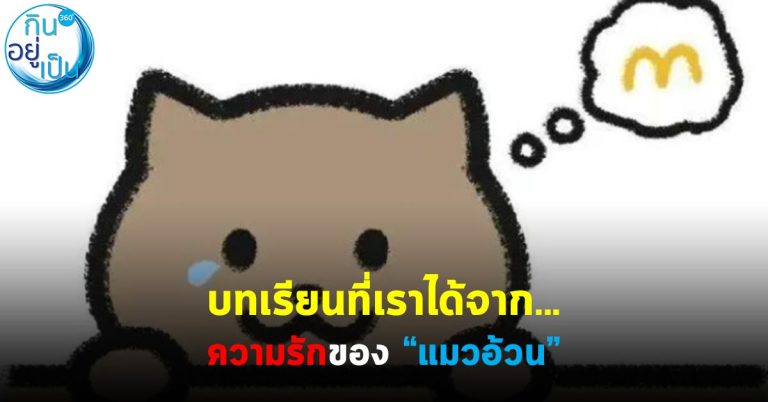 บทเรียนที่เราได้จาก… ความรักของ “แมวอ้วน”