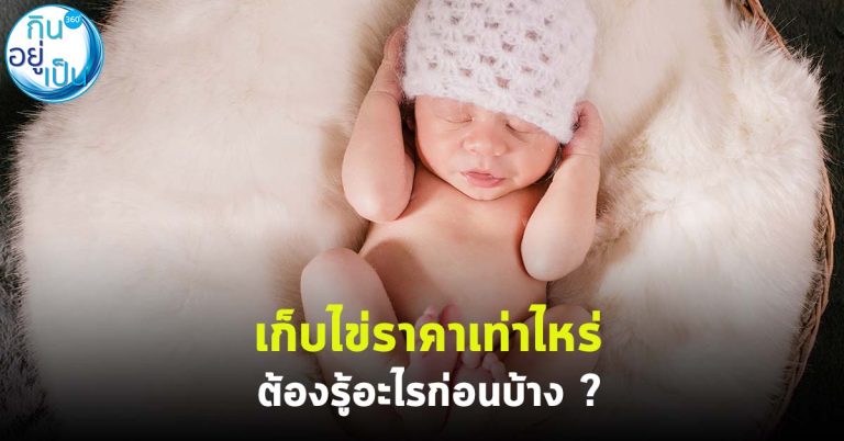 เก็บไข่ราคาเท่าไหร่ ต้องรู้อะไรก่อนบ้าง ?