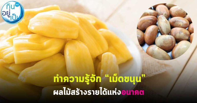 ทำความรู้จัก “เม็ดขนุน” ผลไม้สร้างรายได้แห่งอนาคต