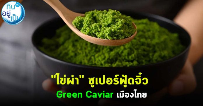 ผำ_กินอยู่เป็น_Cover_1