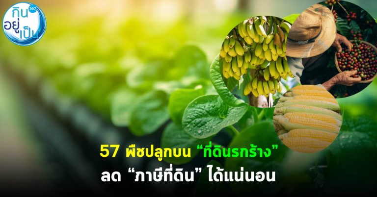57 พืช ปลูกบน “ที่ดินรกร้าง” ลด “ภาษีที่ดิน” ได้แน่นอน