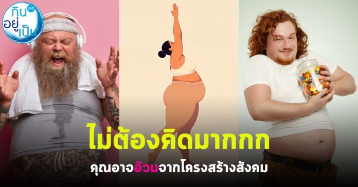 fat_กินอยู่เป็น_Cover_1