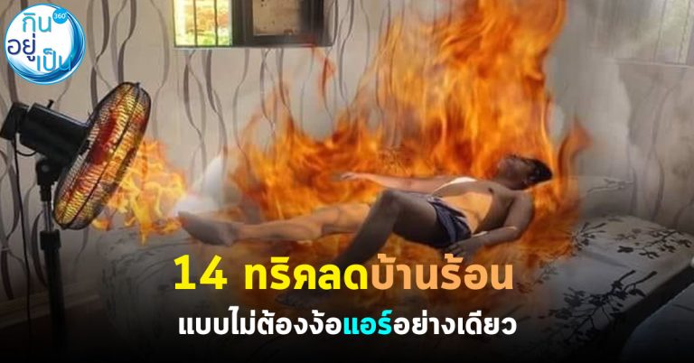 14 ทริคลดบ้านร้อน ไม่ต้องง้อแอร์อย่างเดียว